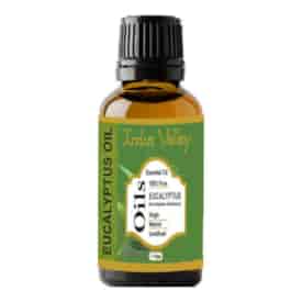 Eucalyptus essential Oil, 15ml, Indus Valley