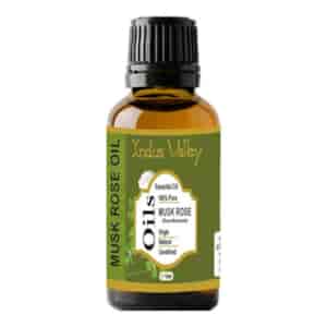 Musk Rose essential Oil, 15 ml, Indus Valley